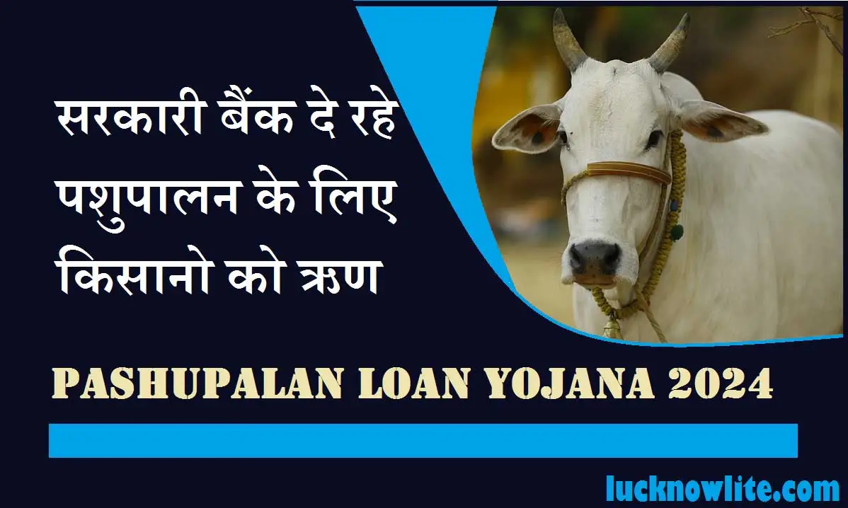 pashupalan loan yojana 2024